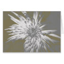 Spider Mum Card