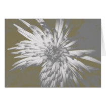 Spider Mum Card