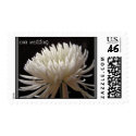 Spider Mum - Our Wedding postage by andra256 Spider Mum - Our Wedding postage