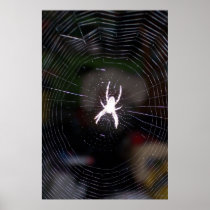 Spider n Web 2 Print
