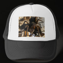SPIDER NEAR THE TRACKS hats by tina312 SPIDER NEAR THE TRACKS hats