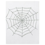 Spider net flyers