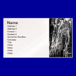 spider-network business cards