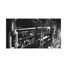 spider-network gallery wrapped canvas