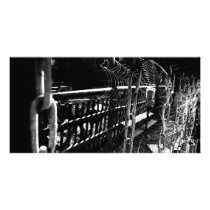 spider-network photo cards