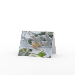 Spider on Dusty Miller Note Card