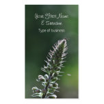 Spider on foxglove business card