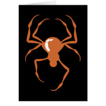 Spider (Orange) Cards