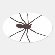 Spider Oval Sticker