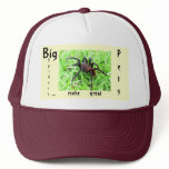 Spider Pets hats