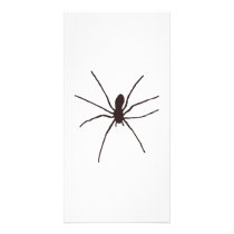 spider customized photo card