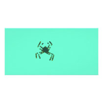 Spider Photo Card