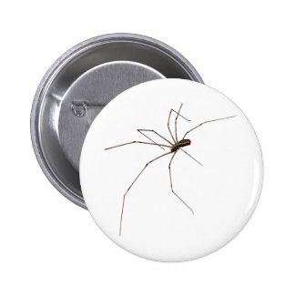 spider pinback button