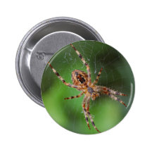 Spider Pins