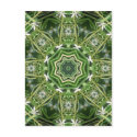Spider Plant Kaleidoscope Art 5 postcards by KaleidoscopeArt Spider Plant Kaleidoscope Art 5 postcards