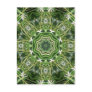 Spider Plant Kaleidoscope...