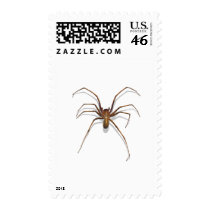 Spider postage