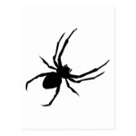 Spider Postcard