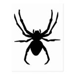 Spider Postcard