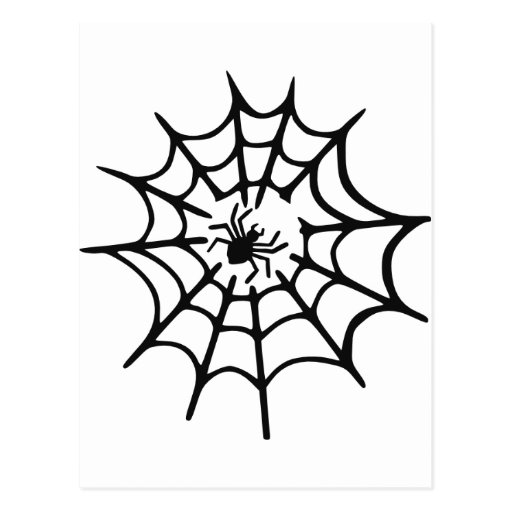 Spider Postcard