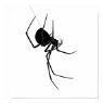 Spider Illustration Poster