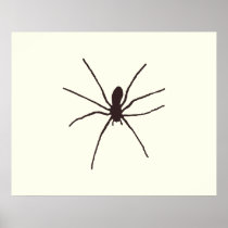 Spider Posters