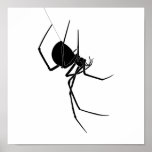 Spider Poster posters