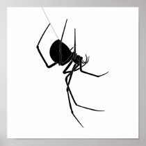 Spider Poster