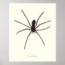 spider poster