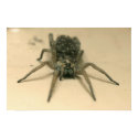 spider poster 10 posters by engagedesign spider poster 10 posters