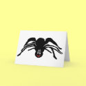 Spider Products cards