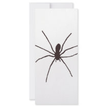 spider full color rack card