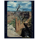 Spider Rock, Canyon de Chelly National Monument AZ t-shirts