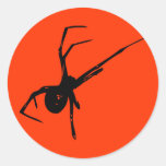 Spider Round Sticker