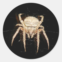 Spider Round Stickers