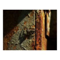 Spider Shade posters