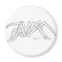 spider side view magnets
