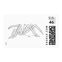 spider side view postage