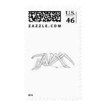spider side view stamp