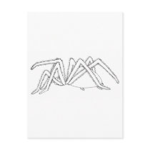 spider side view postcards