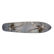 Spider Skate 101 Skate Boards