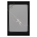 Spider! Stationery Design