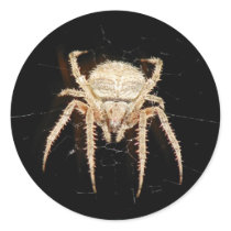 Spider stickers by iiiyaaa Spider stickers