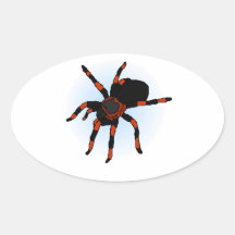 Spider Stickers