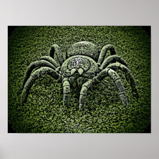 Spider themed poster