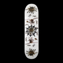 SPIDER TRAP! skateboards