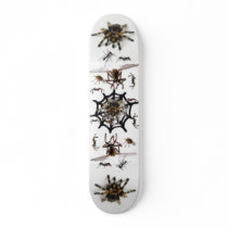 SPIDER TRAP! skateboards