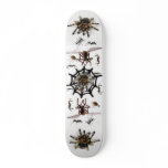 SPIDER TRAP! SKATE BOARD DECKS
