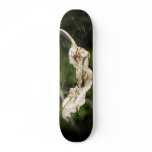 Spider Trap Skateboard