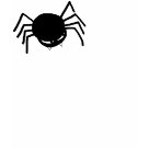 ladies_casual_tshirt - Spider Ladies t-shirt